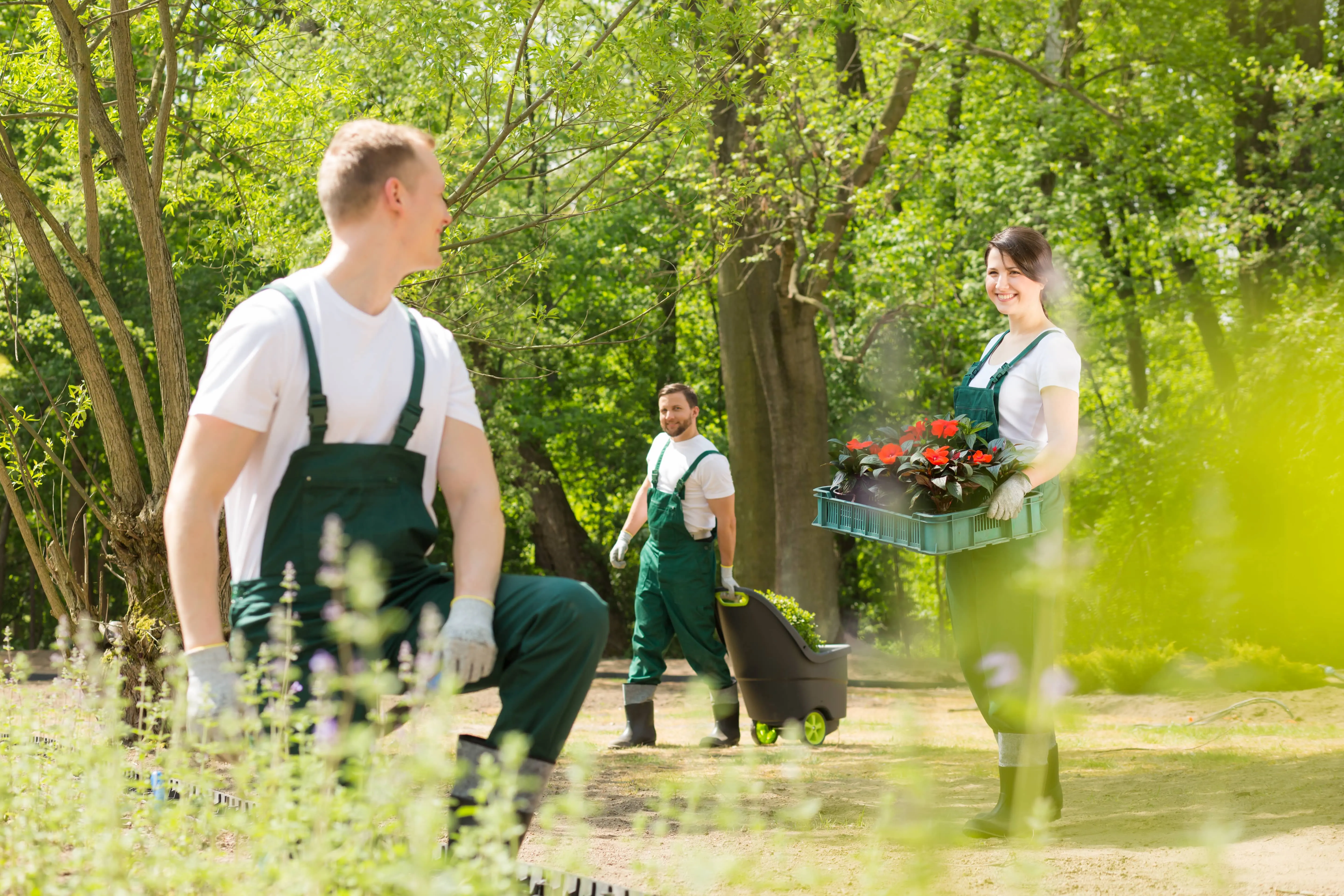 Garten- und Landschaftspflege von Die Burschen in Schwalbach am Taunus