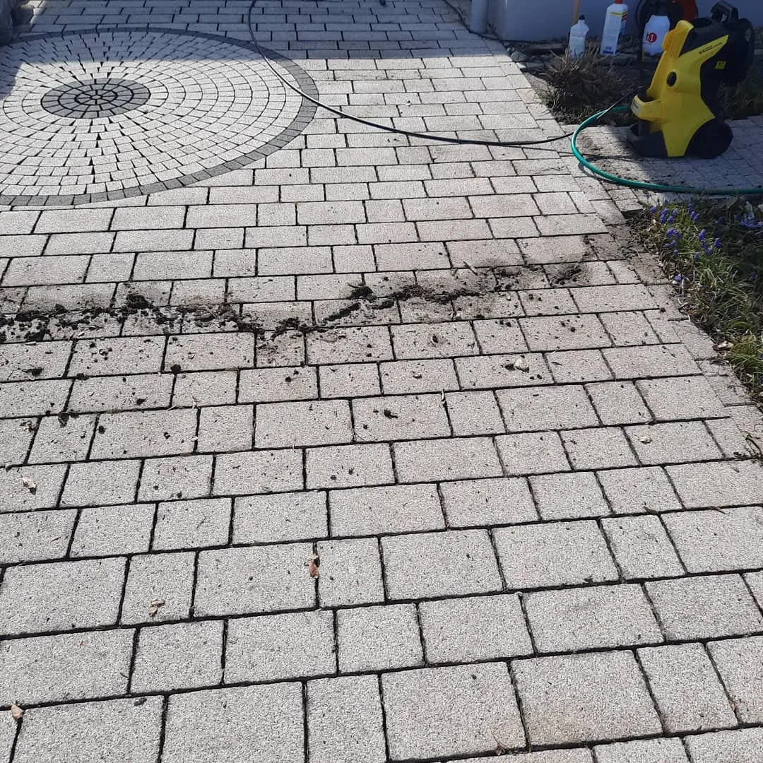 Moosentfernung auf Pflaster, Terrasse und Einfahrt